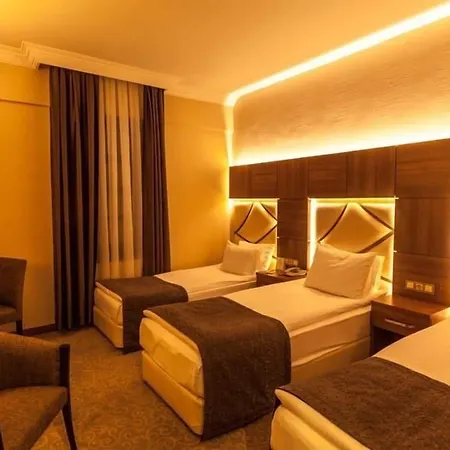 Rumi Hotel Konya