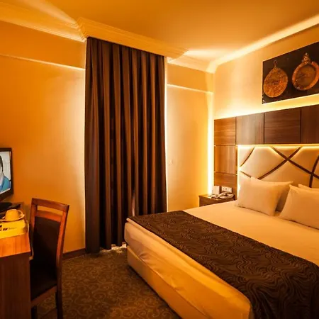 Rumi Hotel Konya